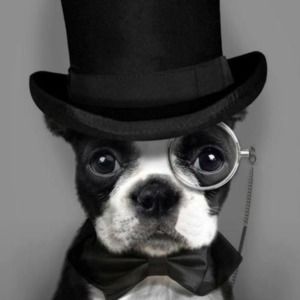 Meet your Posher, Diana